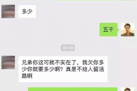 洛南为什么选择专业追讨公司来处理您的债务纠纷？